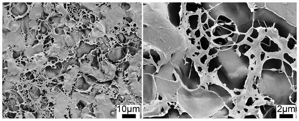 A kind of silk protein airgel for triboelectric nanogenerator and its preparation method and triboelectric nanogenerator