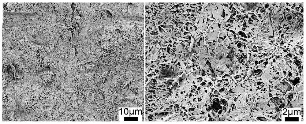 A kind of silk protein airgel for triboelectric nanogenerator and its preparation method and triboelectric nanogenerator