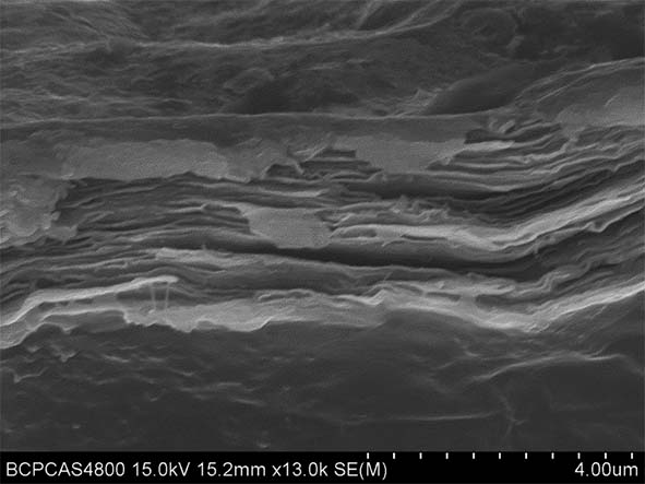 A kind of mxene/conductive polymer composite airgel and preparation method thereof