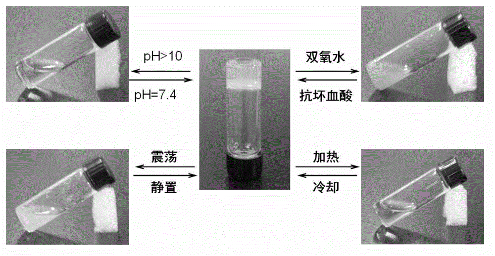 Multi-response supramolecular hydrogel factor, hydrogel and preparation method thereof