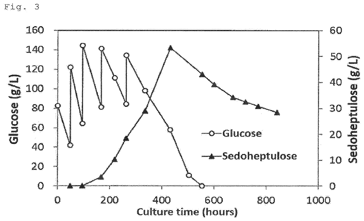 Method for producing sedoheptulose