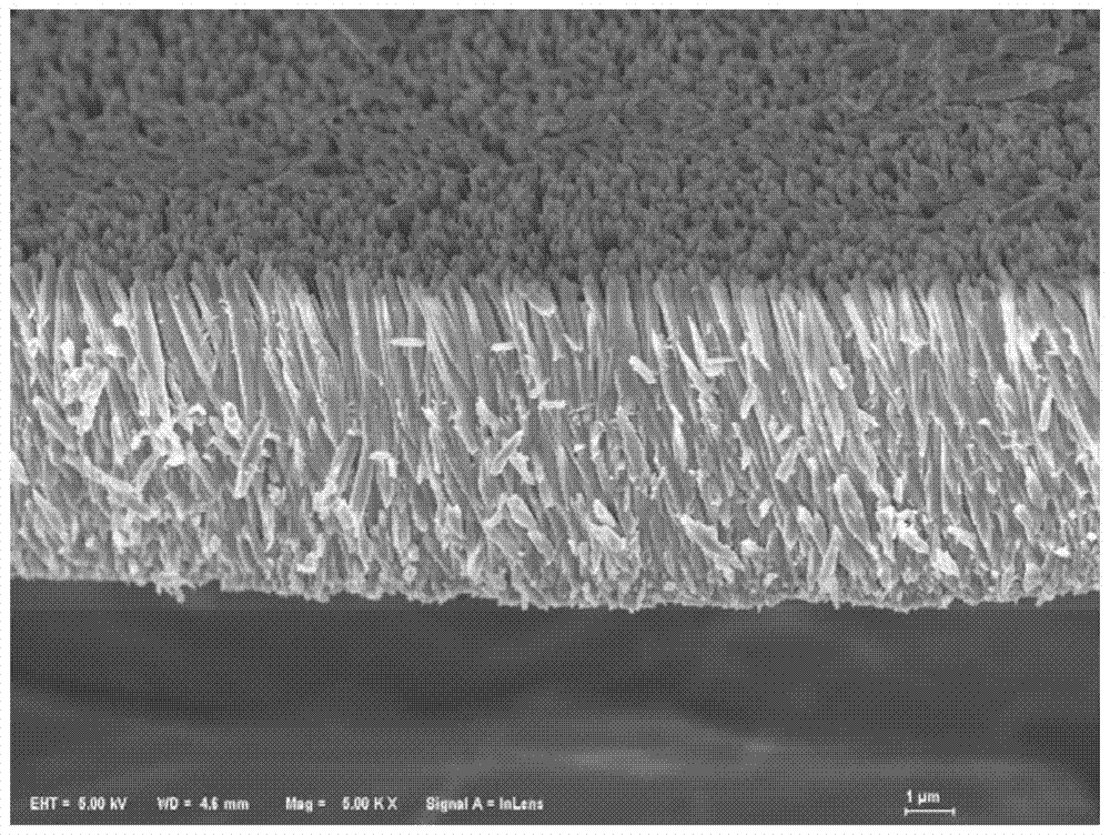 Application of Titanium Dioxide Array Films as Second-Order Nonlinear Optical Materials