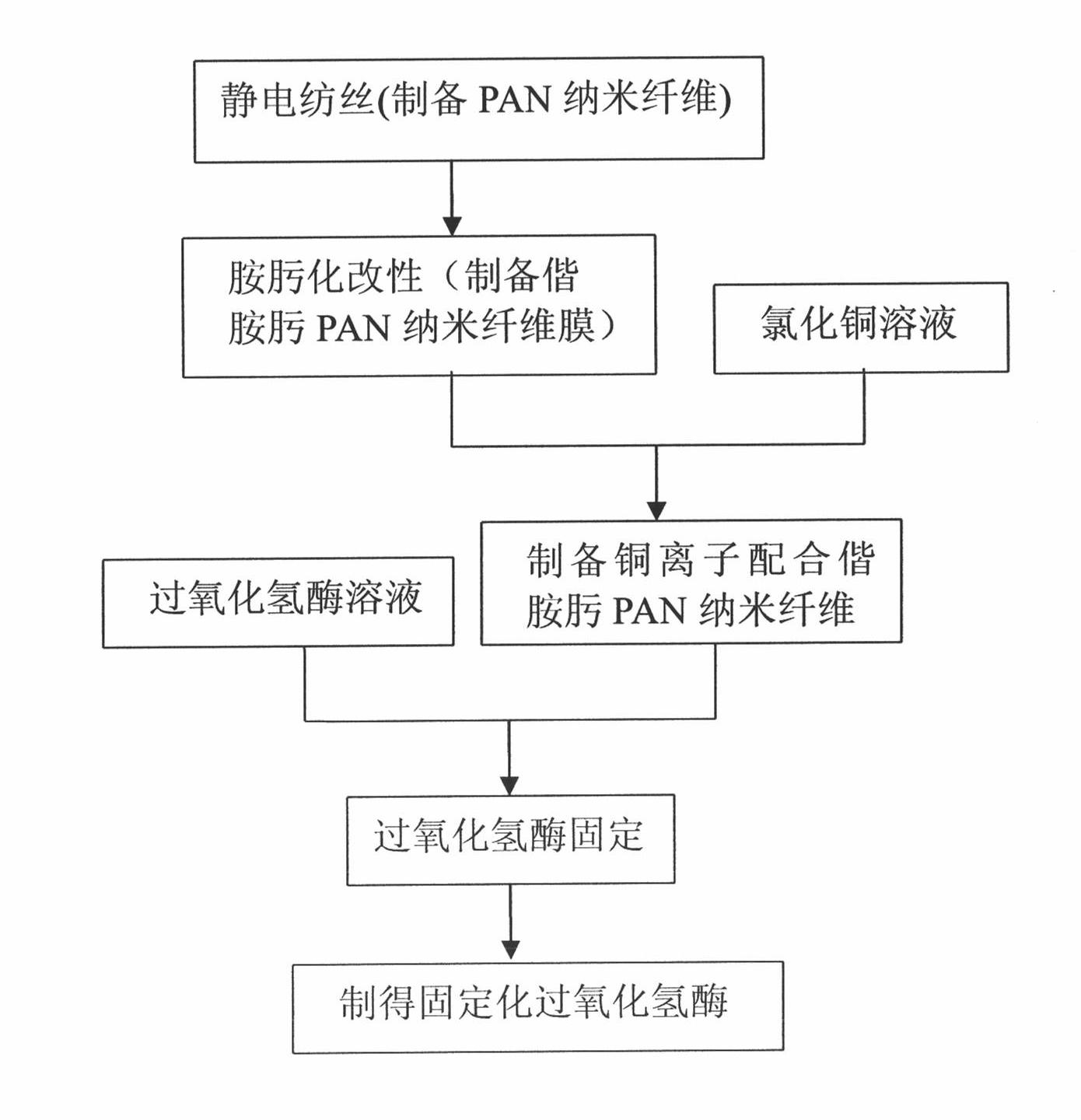Catalase immobilization method on basis of using amidoxime PAN nanofibrous membrane as carrier