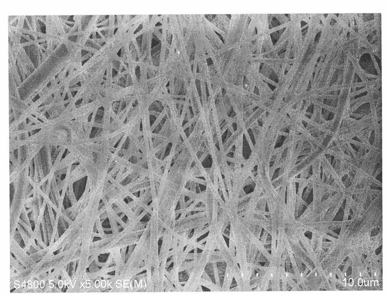 Catalase immobilization method on basis of using amidoxime PAN nanofibrous membrane as carrier