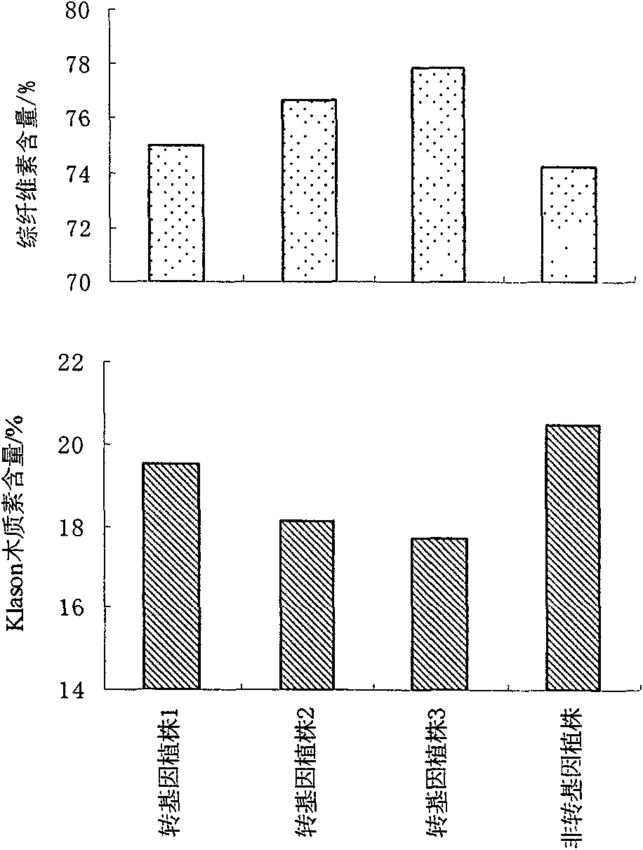 Method for reducing the content of poplar lignin with RNA interference