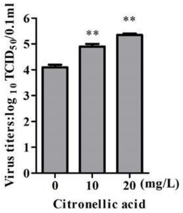 The Application of Citronellic Acid as a Synergist in Vaccine Production