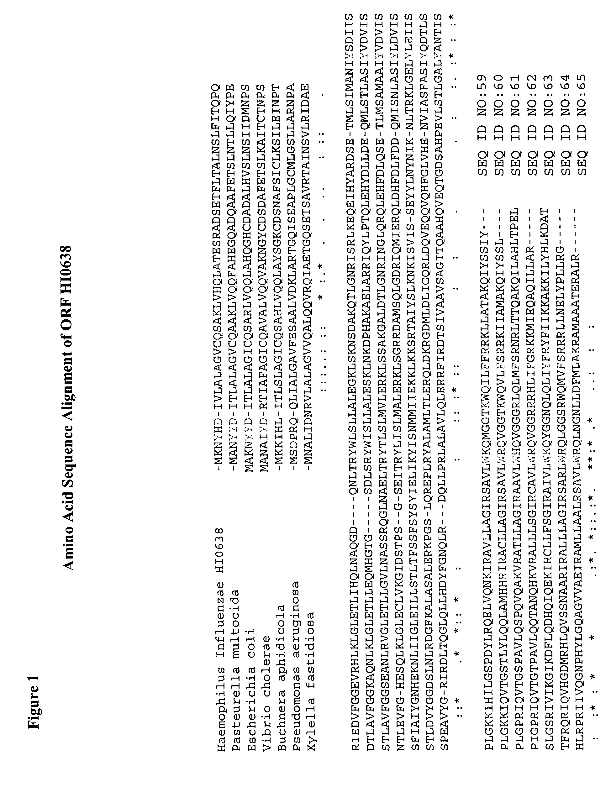 Amino acid sequences capable of facilitating penetration across a biological barrier