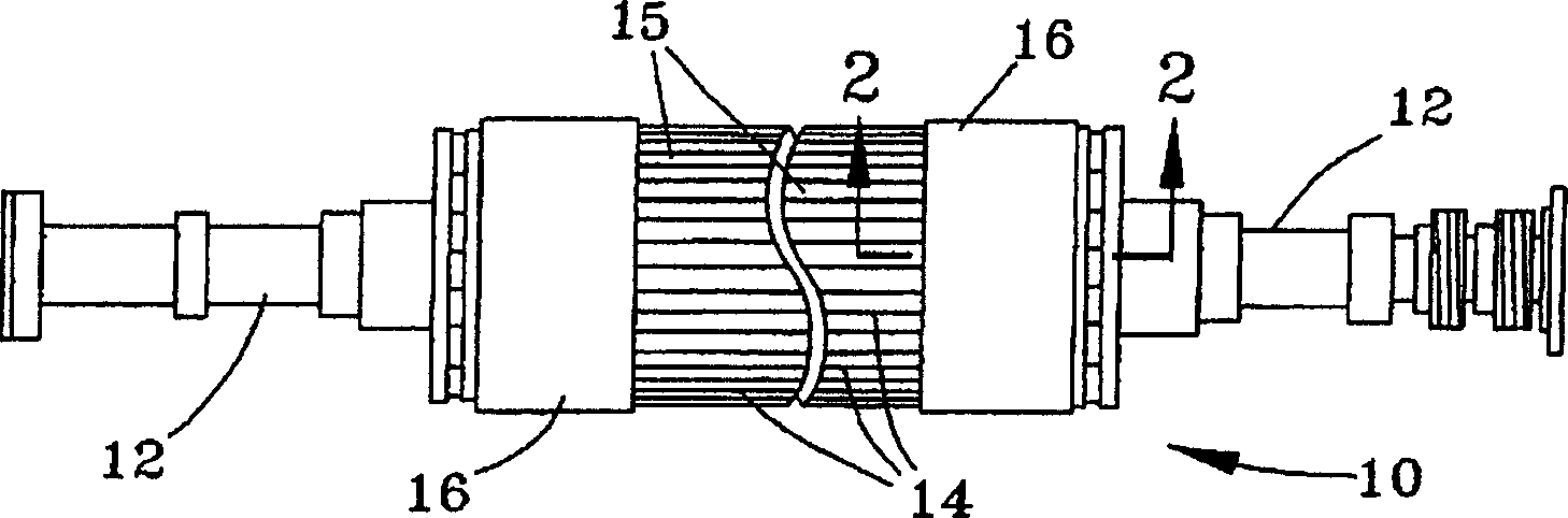 Retaining system for a rotor of a dynamoelectric machine