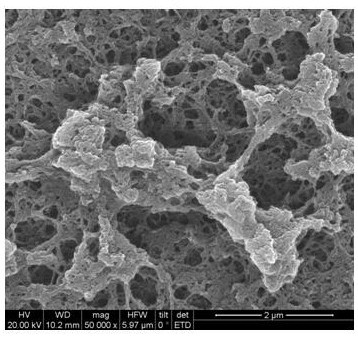 An electrochemical sensor for rapid and selective detection of quercetin and its preparation method