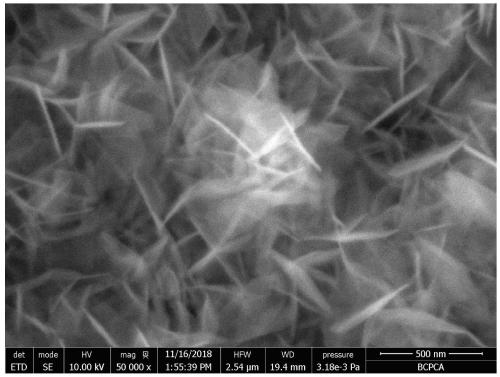 Amorphous nickel-iron oxide nanometer sheet-shaped electrocatalysis material and preparation and application thereof