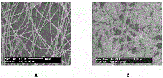 A kind of surface modification method of polypropylene non-woven fabric