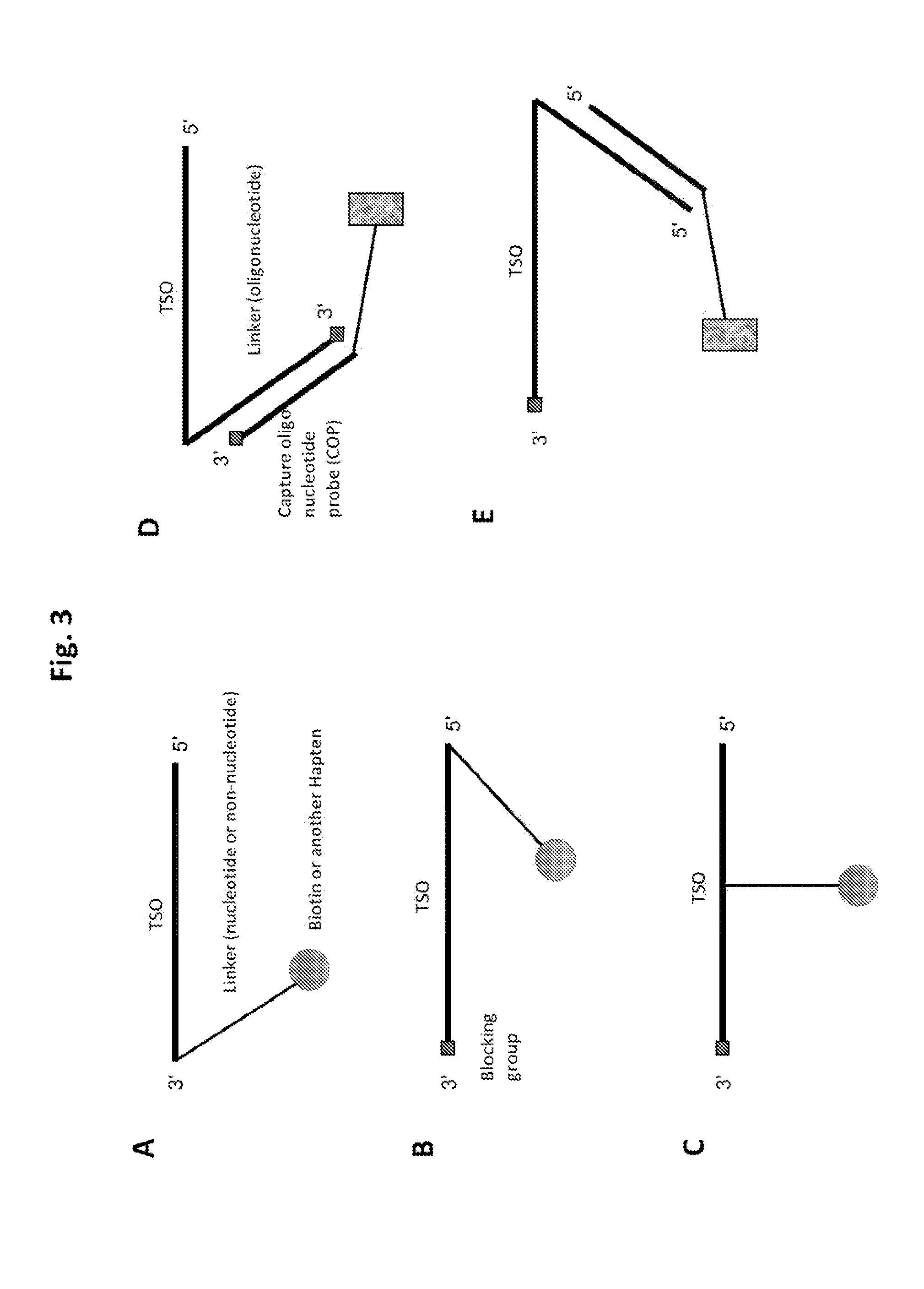 Methods of constructing small RNA libraries and their use for expression profiling of target rnas