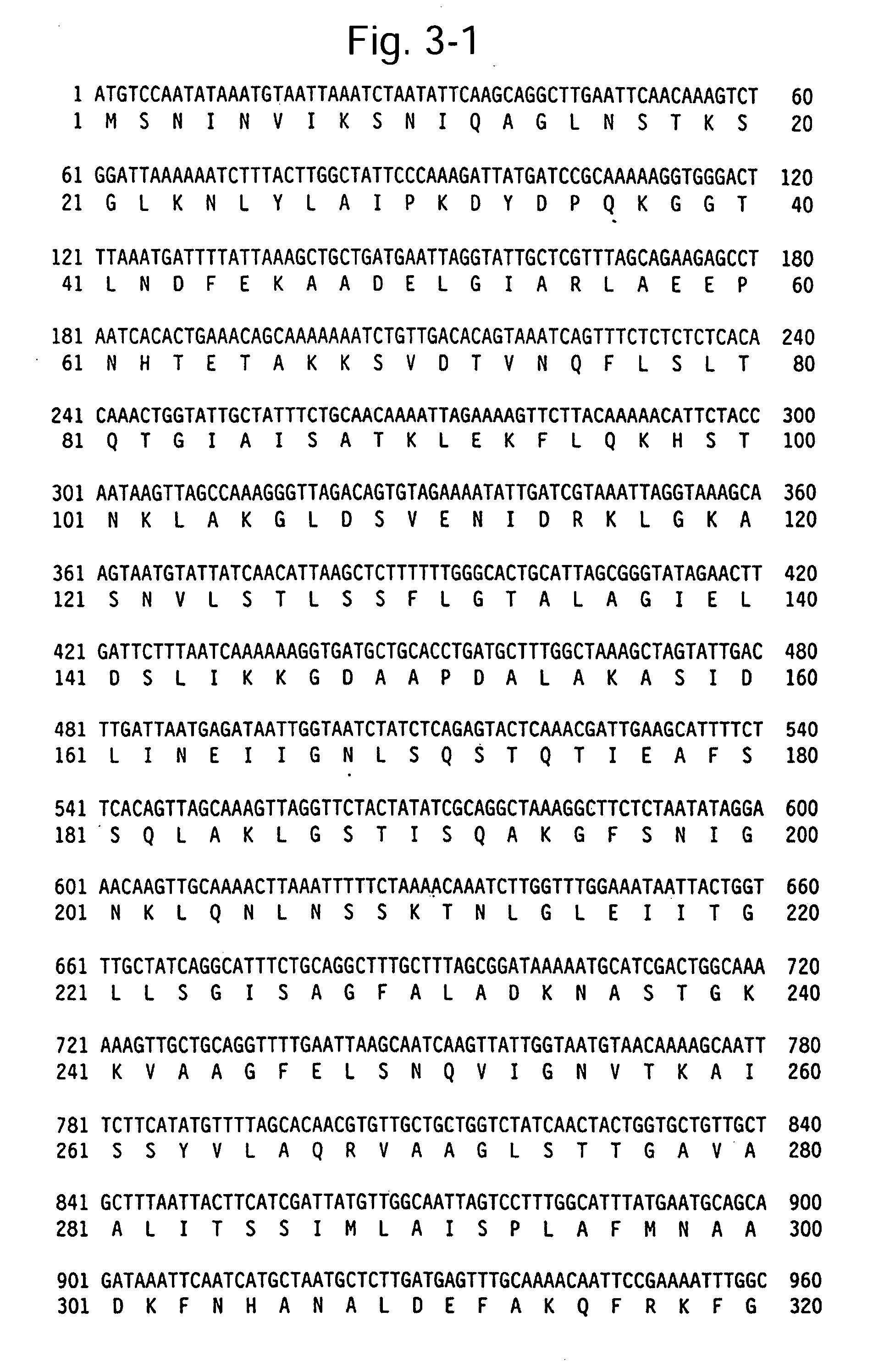 Moraxella bovis cytotoxin, cytotoxin gene, antibodies and vaccines for prevention and treatment of moraxella bovis infections