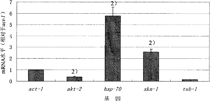 Application of ligusticum chuanxiong hort or extract thereof in preparing anti-aging products