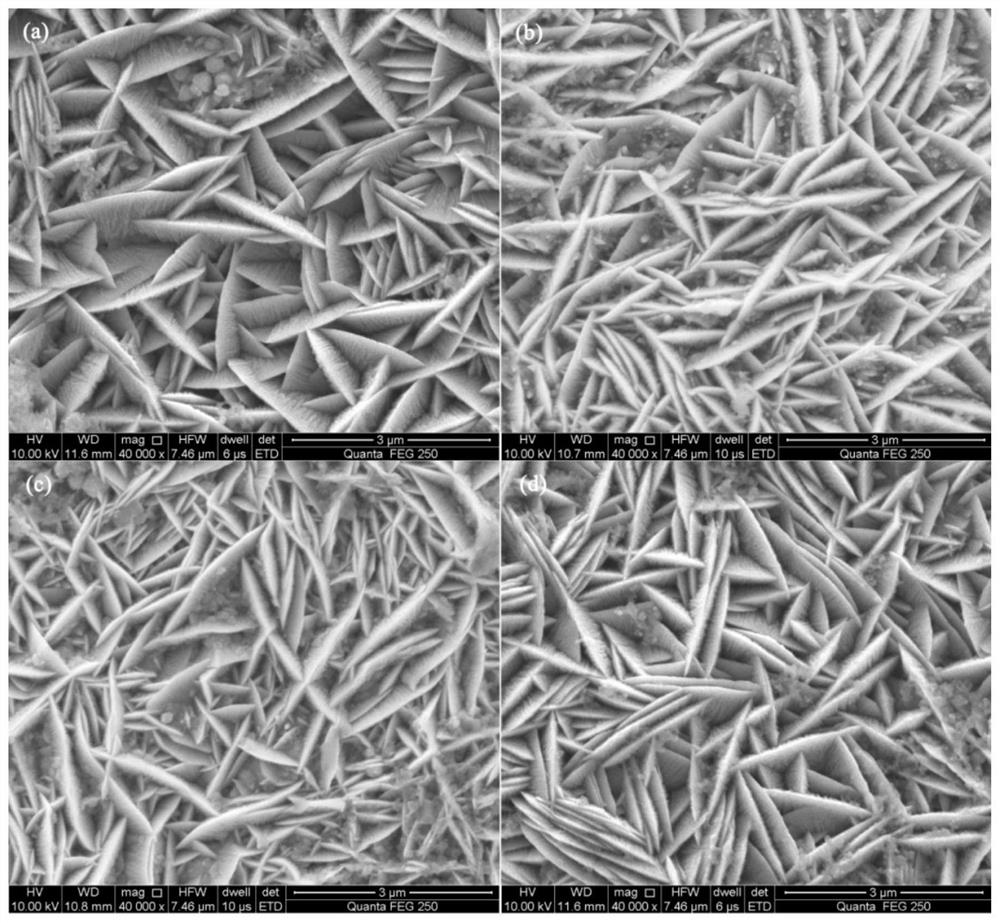 Preparation method of electrodeposited ni-co/sic nanocomposite coating under a kind of three-electrode system