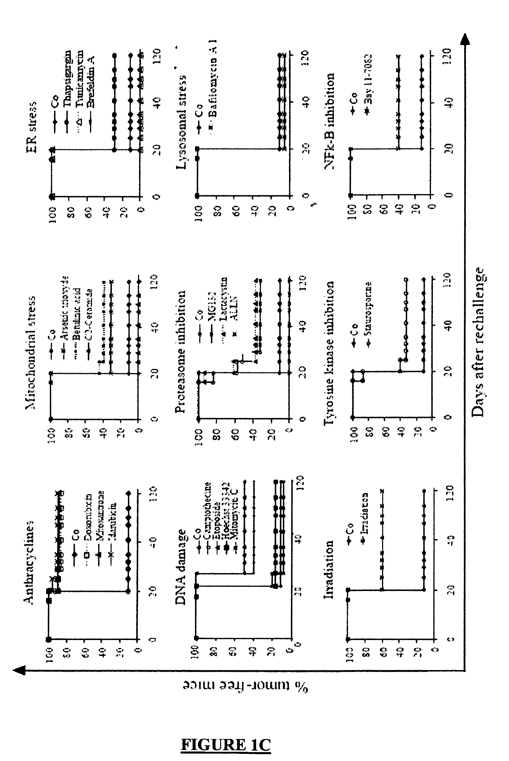 Compounds regulating calreticulin, KDEL receptor and/or Erp-57 cell surface exposure and uses thereof to evaluate the efficiency of a cancer treatment