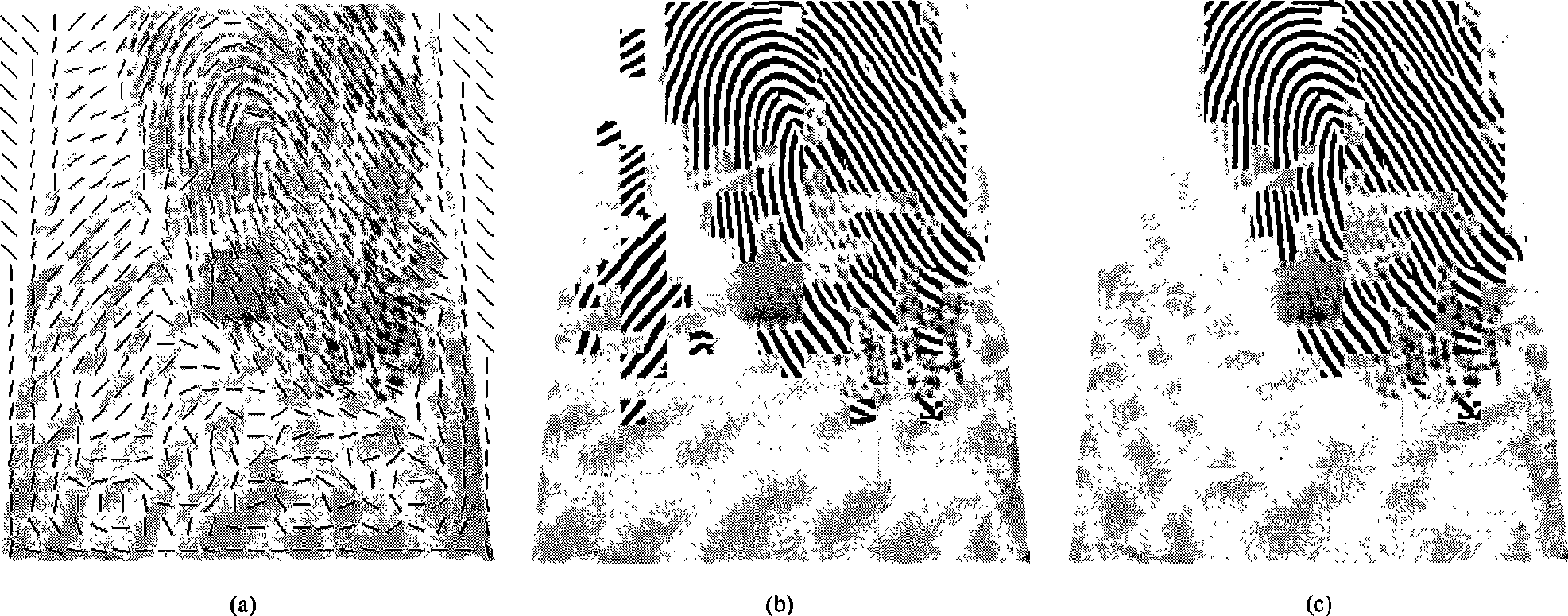 Method for fingerprint image mark direction calculation and image segmentation based on BP neural network