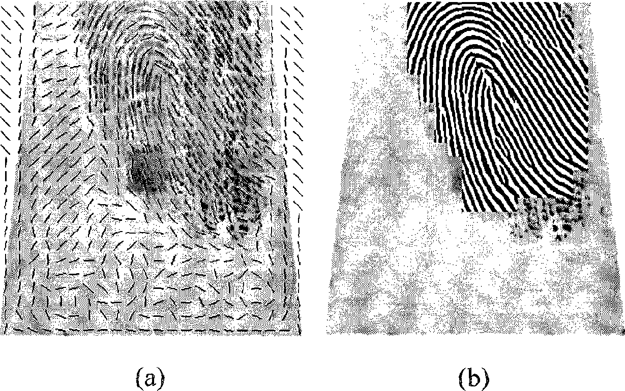 Method for fingerprint image mark direction calculation and image segmentation based on BP neural network