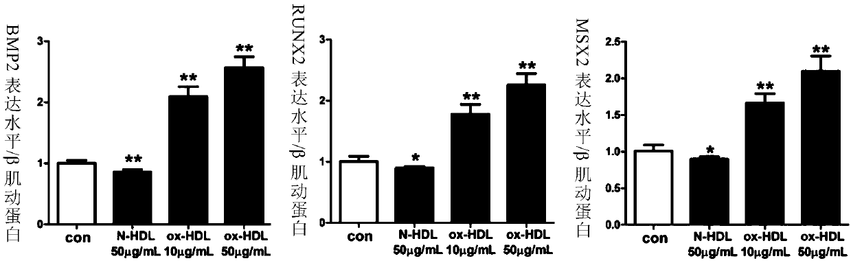 Application of oxidized high-density lipoprotein