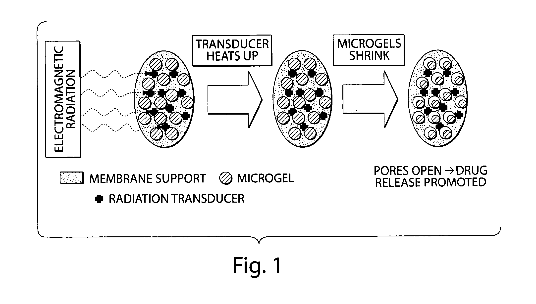 Magnetic heating for drug delivery and other applications