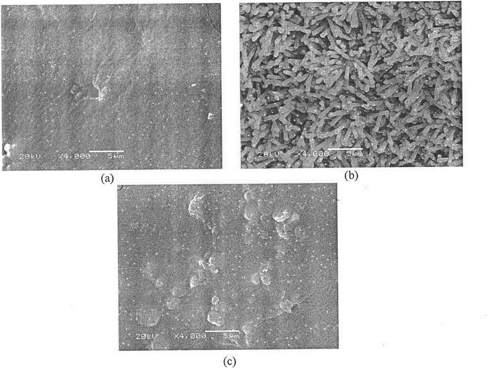 Preparation method of a controllable porous ceramic/polymer matrix composite bone scaffold