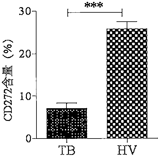 Protein B12 expression inhibitor and application thereof in immunization and treatment of TB (tuberculosis)