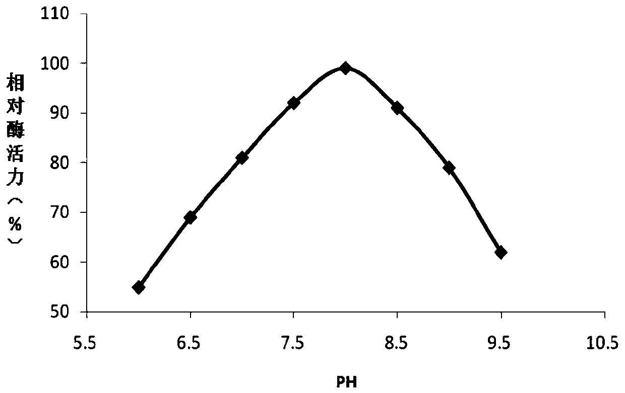 A strain of Pseudomonas with high trehalose synthase production and its fermentative enzyme production method