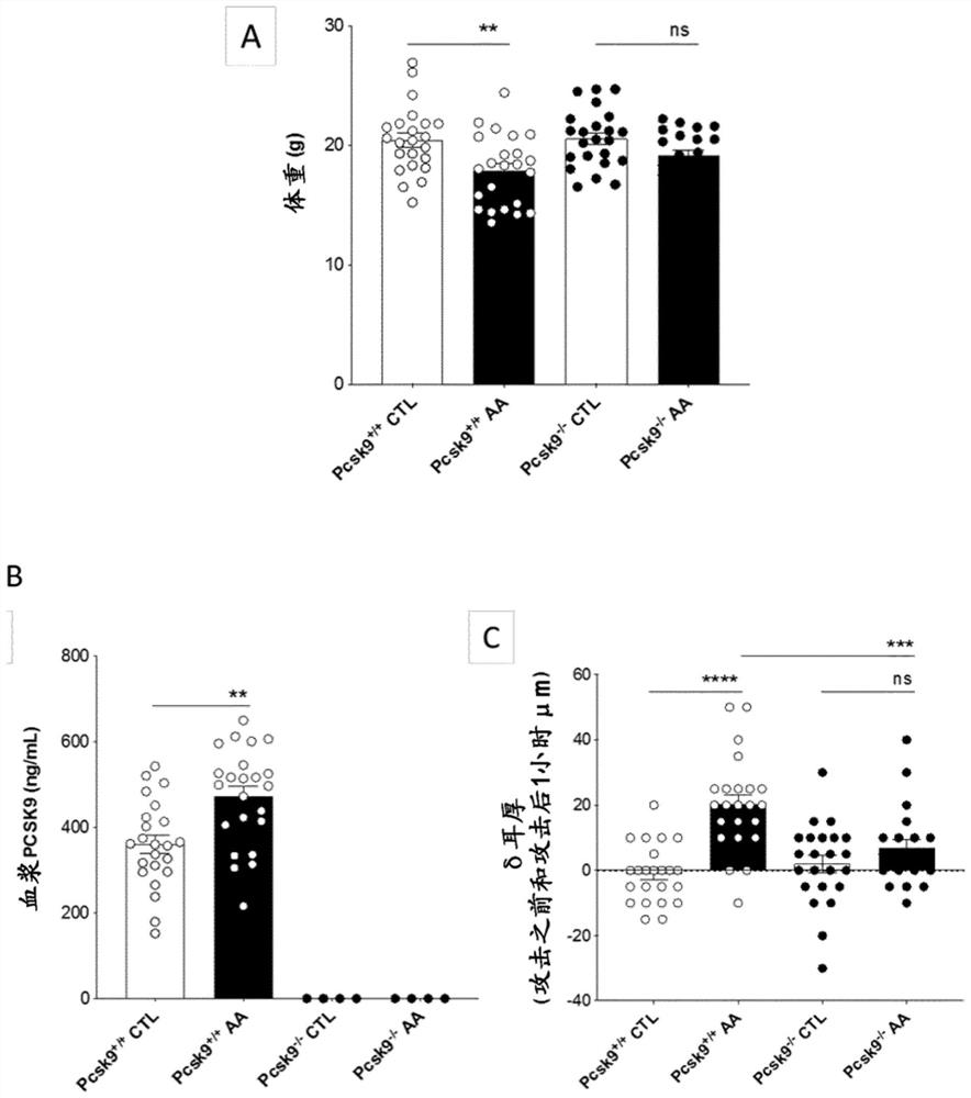 Methods and compositions for treating asthma and allergic diseases