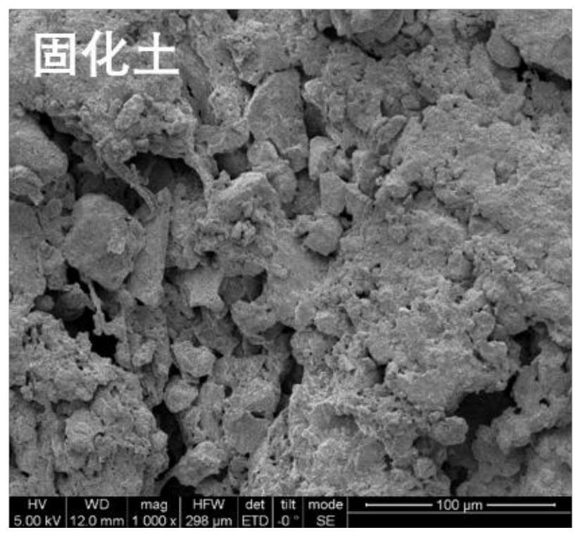 A kind of green polymer compound sludge curing agent and its application