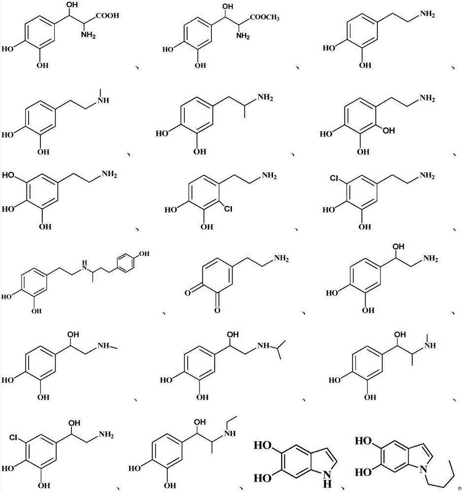 Hair dyeing method based on surface coating principle