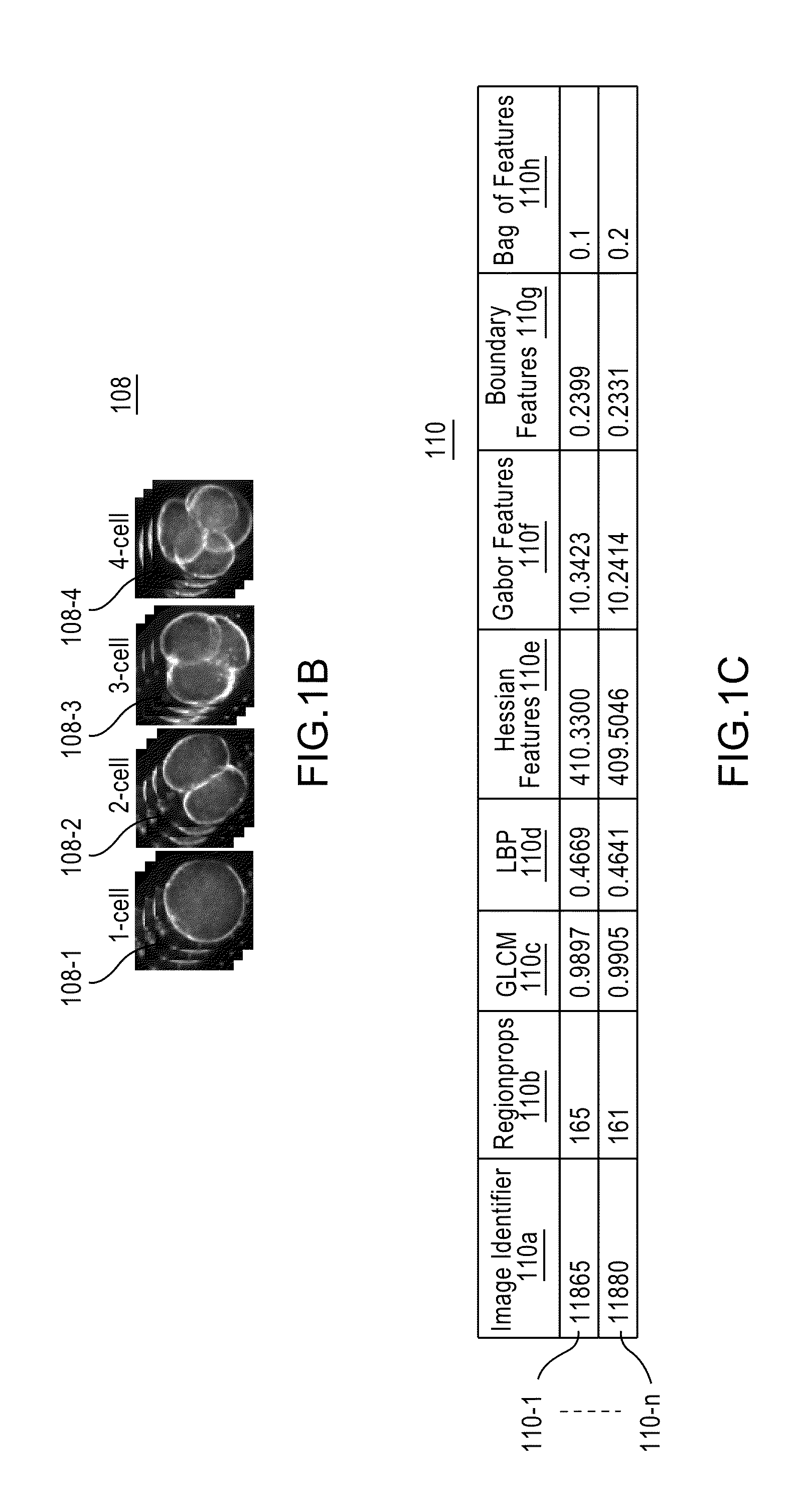 Apparatus, method, and system for image-based human embryo cell classification