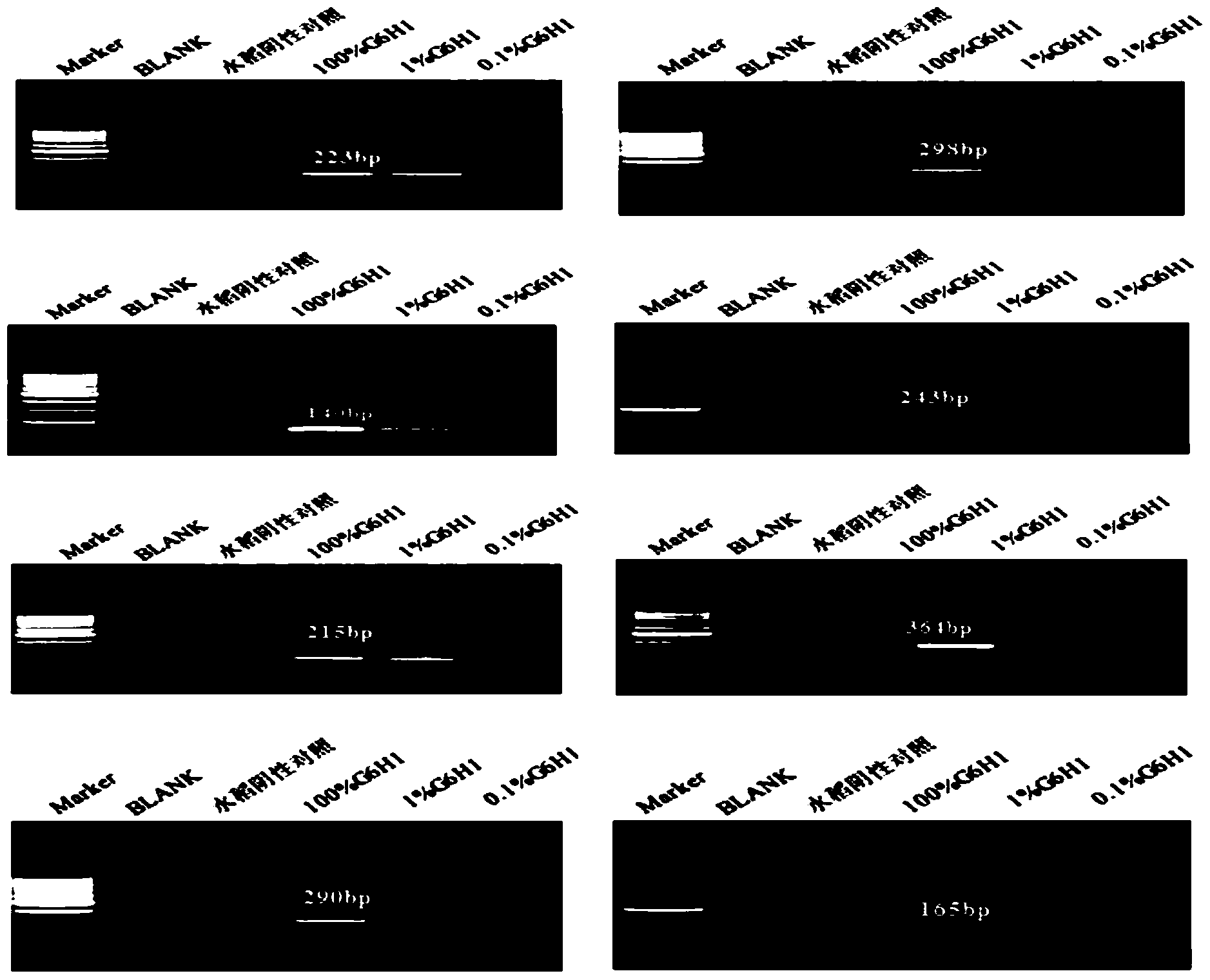 Qualitative PCR detecting method for transgenic insect-resistant herbicide-tolerant rice G6H1 and derived varieties thereof