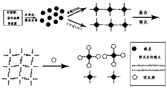Fluorescence detection method for acetamiprid