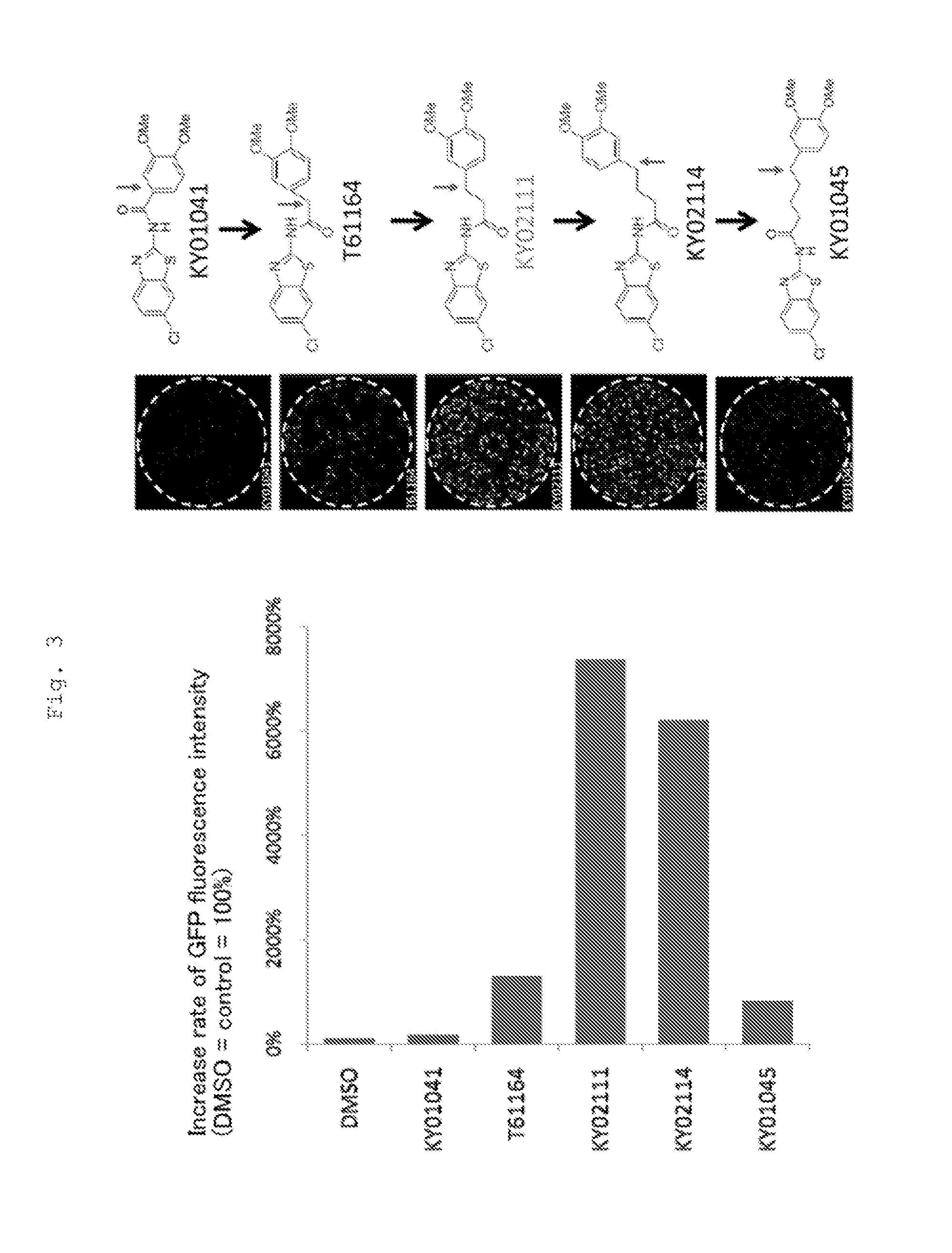 Method for promoting differentiation of pluripotent stem cells into cardiac muscle cells