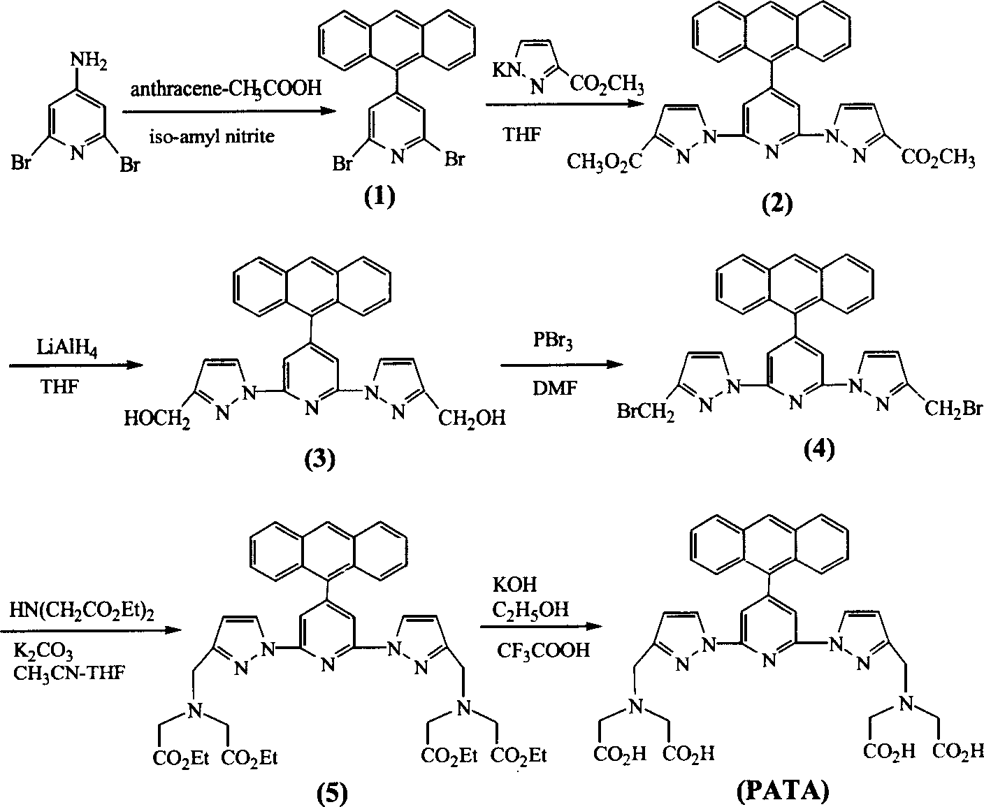 Terbium coordination compound singlet oxygen fluorescent probe and application thereof