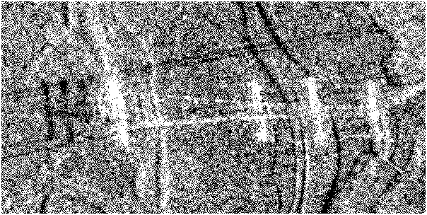 High-resolution SAR satellite image speckle de-noising method