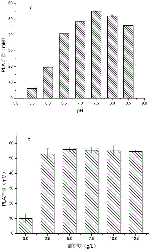 D-lactic dehydrogenase mutant and application thereof