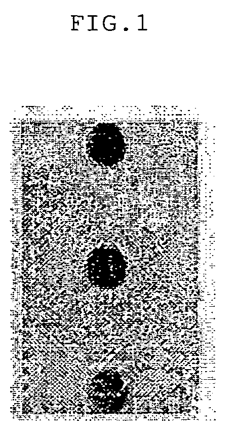 Light absorbent agent polymer for organic anti-reflective coating and preparation method and organic anti-reflective coating composition comprising the same