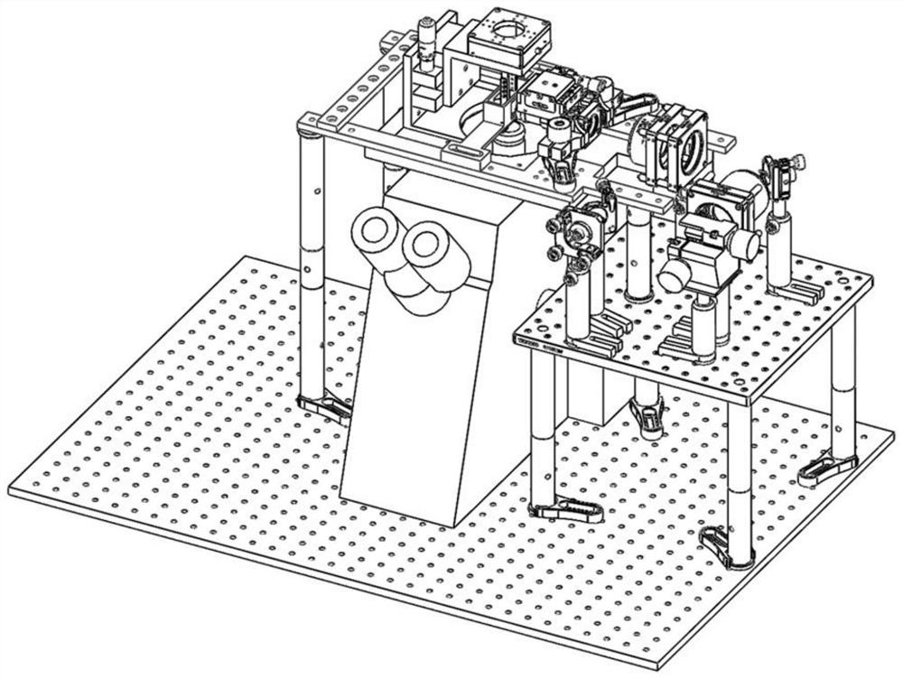 A digital scanning light sheet microscopy imaging system compatible with microfluidic chips