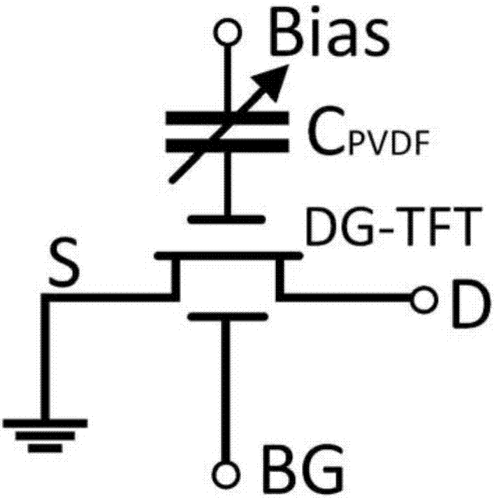 Multifunctional sensor based on double-gate thin film transistor and preparation method thereof