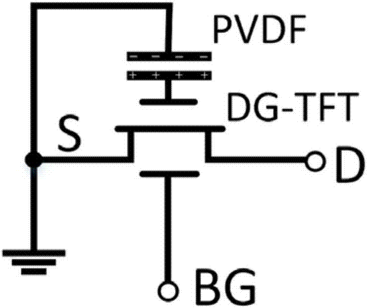 Multifunctional sensor based on double-gate thin film transistor and preparation method thereof