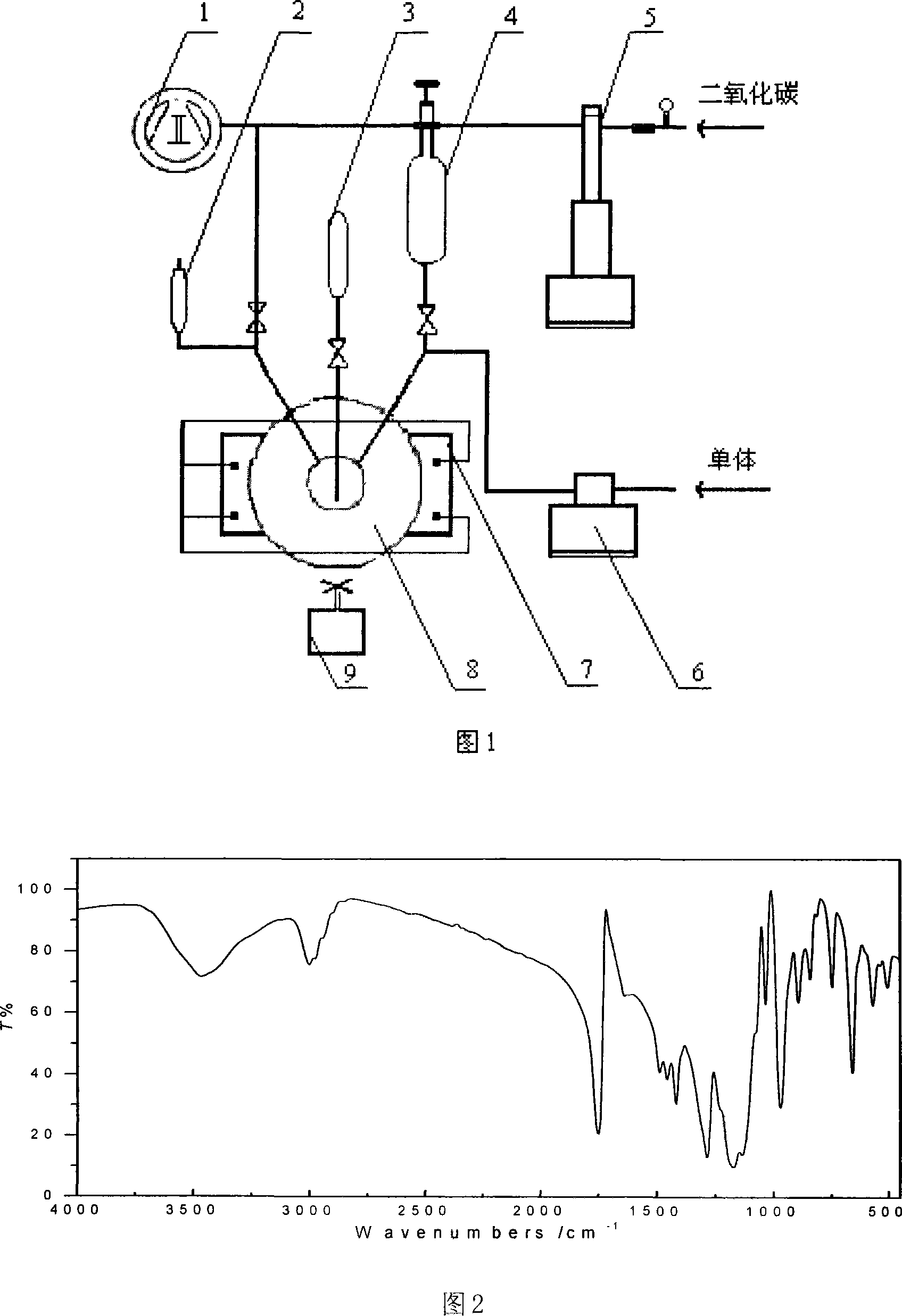 Method for preparing polythene derivative in supercritical fluid