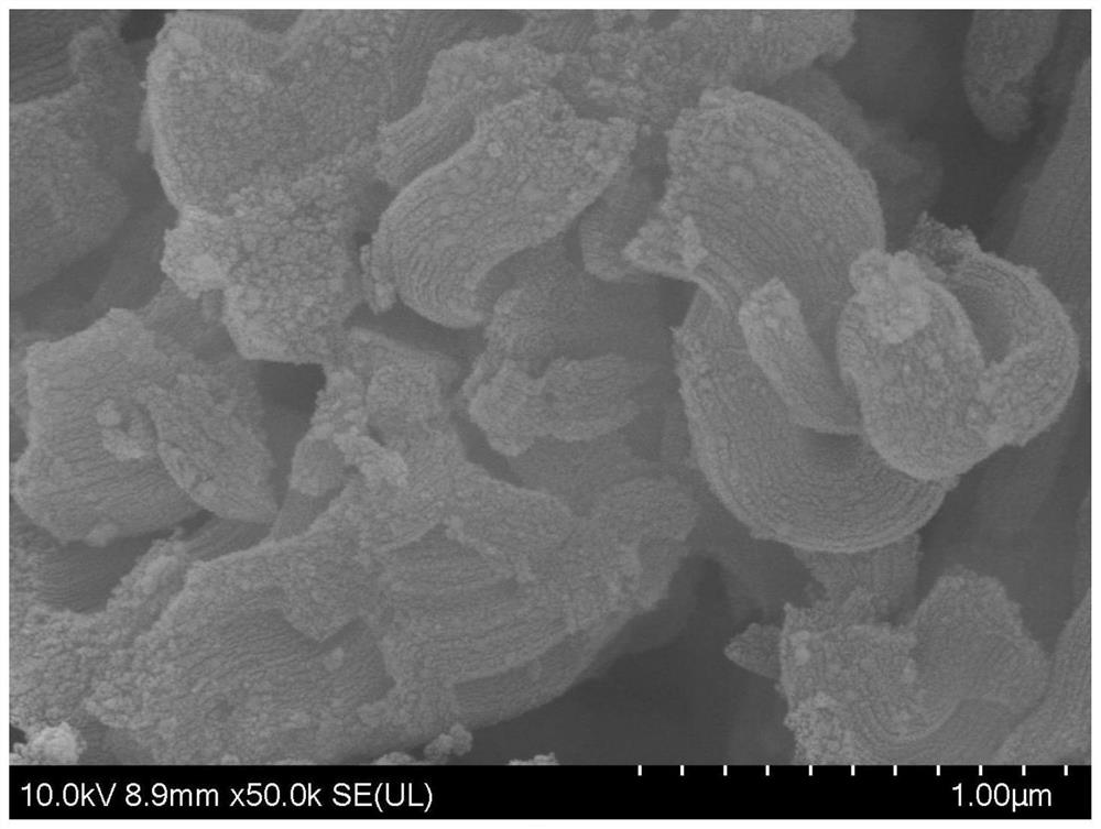 Nano sensor with catalytic activity triggered by Hg ions, preparation method of nano sensor and application of nano sensor in Hg ion detection