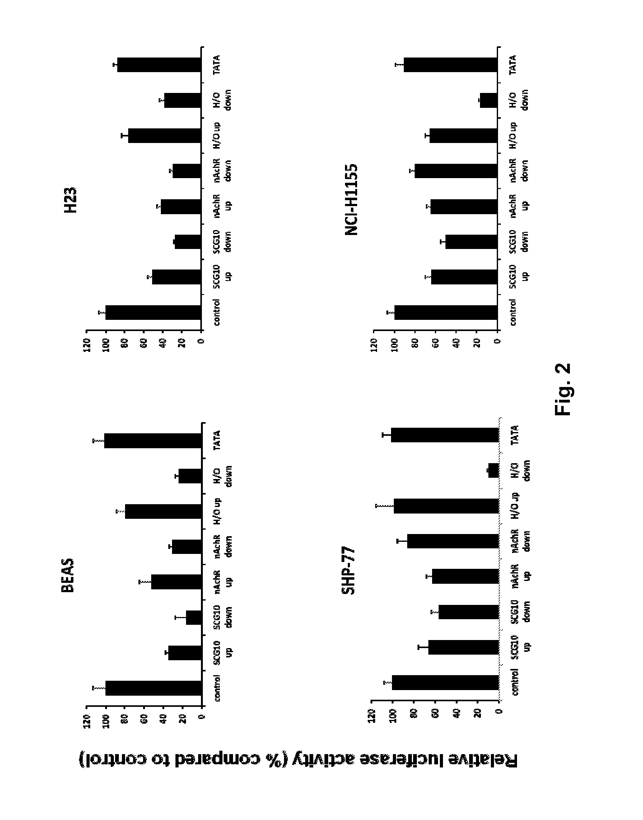 Modified INSM1-Promoter for Neuroendocrine Tumor Therapy and Diagnostics