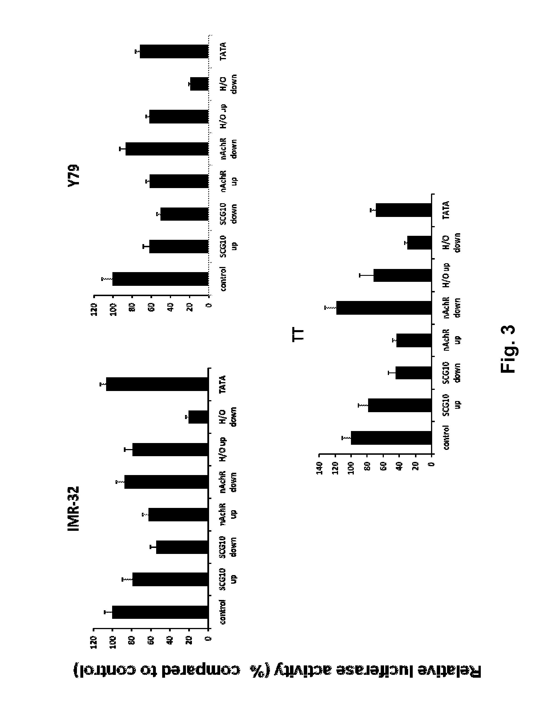 Modified INSM1-Promoter for Neuroendocrine Tumor Therapy and Diagnostics