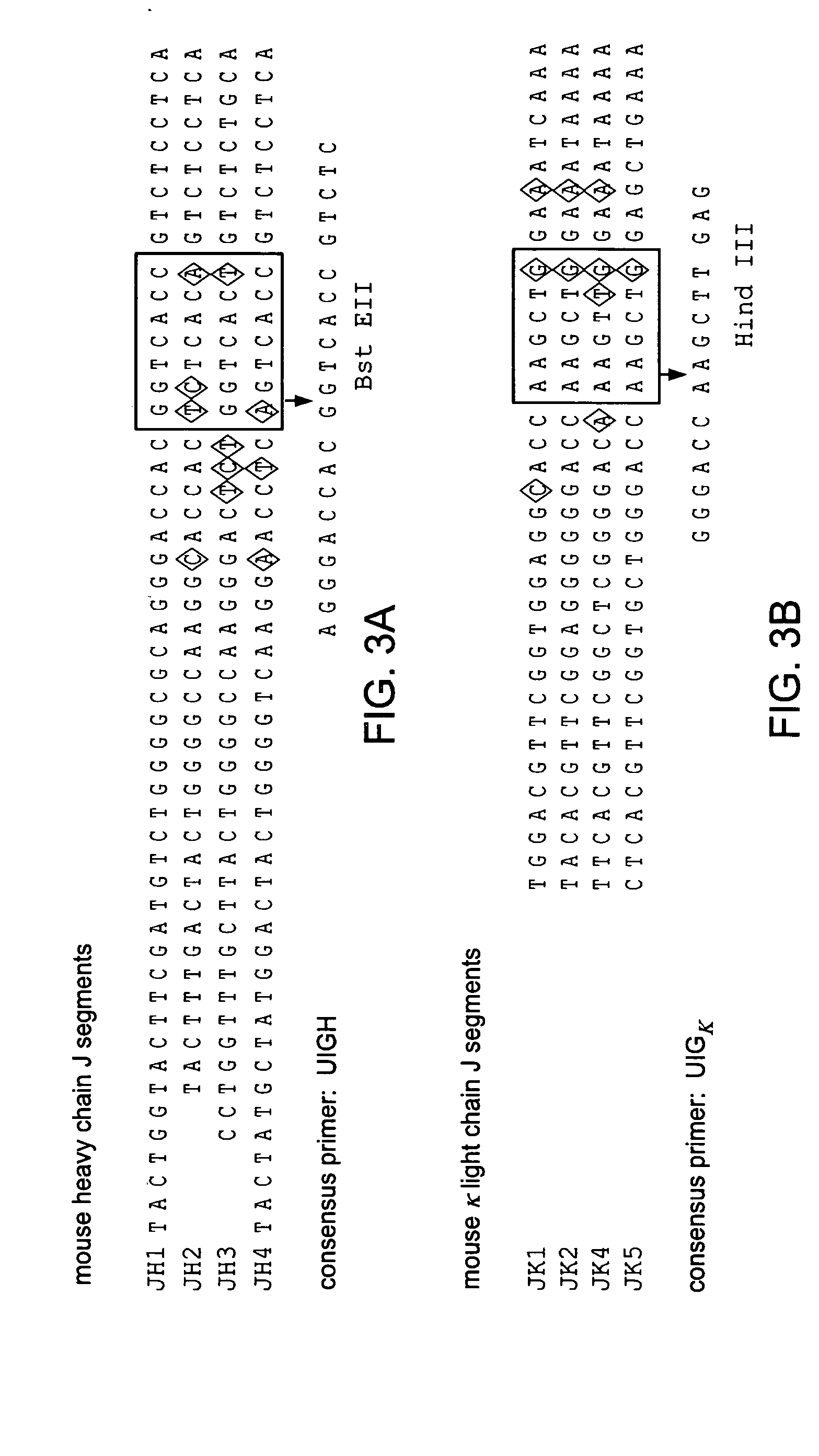 Chimeric antibody with specificity to human B cell surface antigen