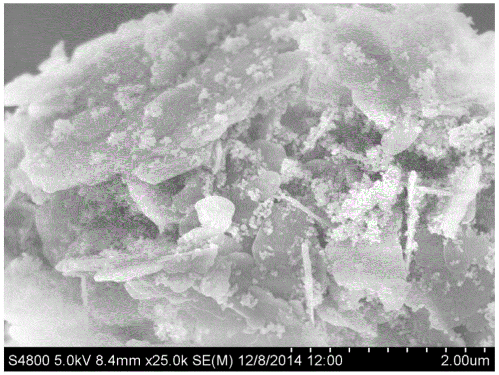 A kind of preparation method of high-performance hydrotalcite/silica/rubber nanocomposite material