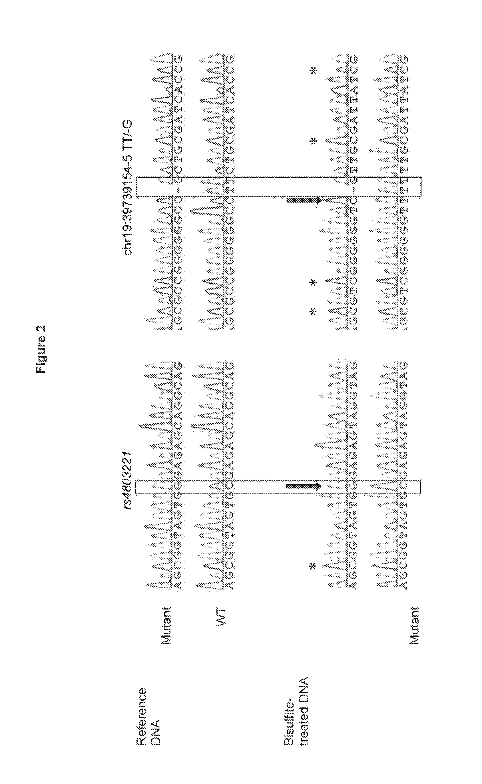 Polymorphisms associated with non-response to a hepatitis c treatment or susceptibility to non-spontaneous hepatitis c clearance