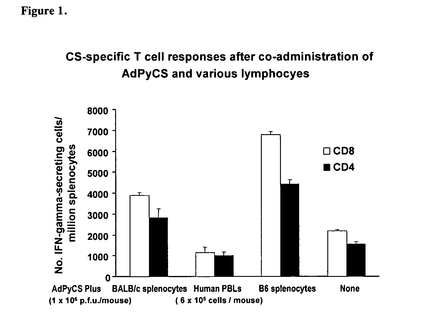 Use of allogenic or syngenic major histocompatibility complex (MHC) molecules as universal adjuvants for vaccines against neoplastic disease, infection and autoimmune disease