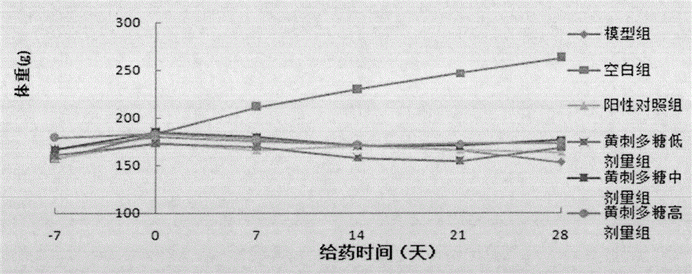 Tangut barberry bark fruit polysaccharide, as well as preparation method and use thereof